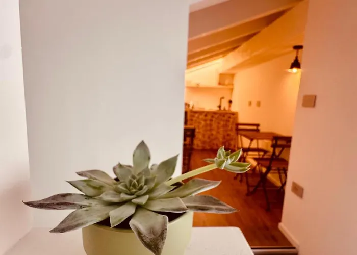 B&B Morbegno לינה וארוחת בוקר מורבניו